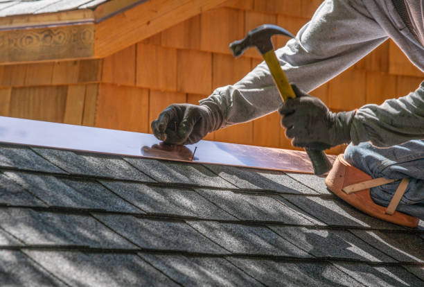 Best Roof Leak Repair  in Jan Phyl Village, FL