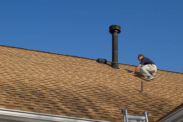 Best Solar Panel Roofing Installation  in Jan Phyl Village, FL