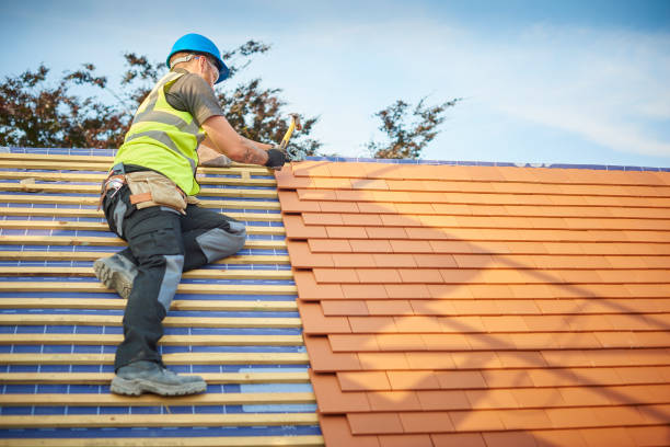 Best Roof Insulation Installation  in Jan Phyl Village, FL